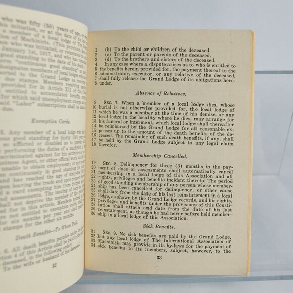 Constitution Grand Lodge District Local International Association of Machinists - Picture 3 of 3